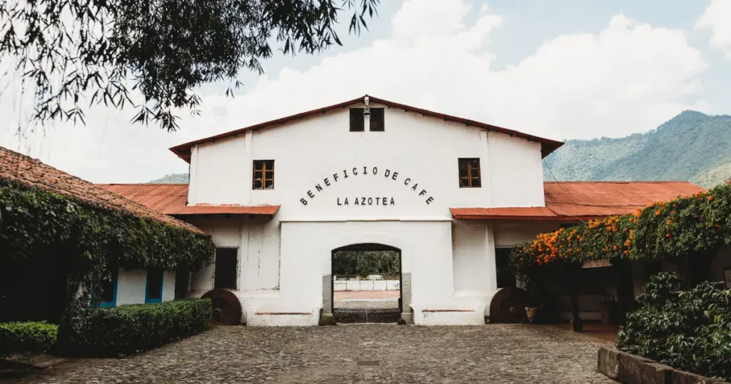 FINCA LA AZOTEA GUATEMALA