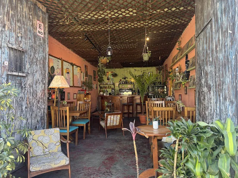 A Ver Quien Soy Coffee Antigua Guatemala photo 4