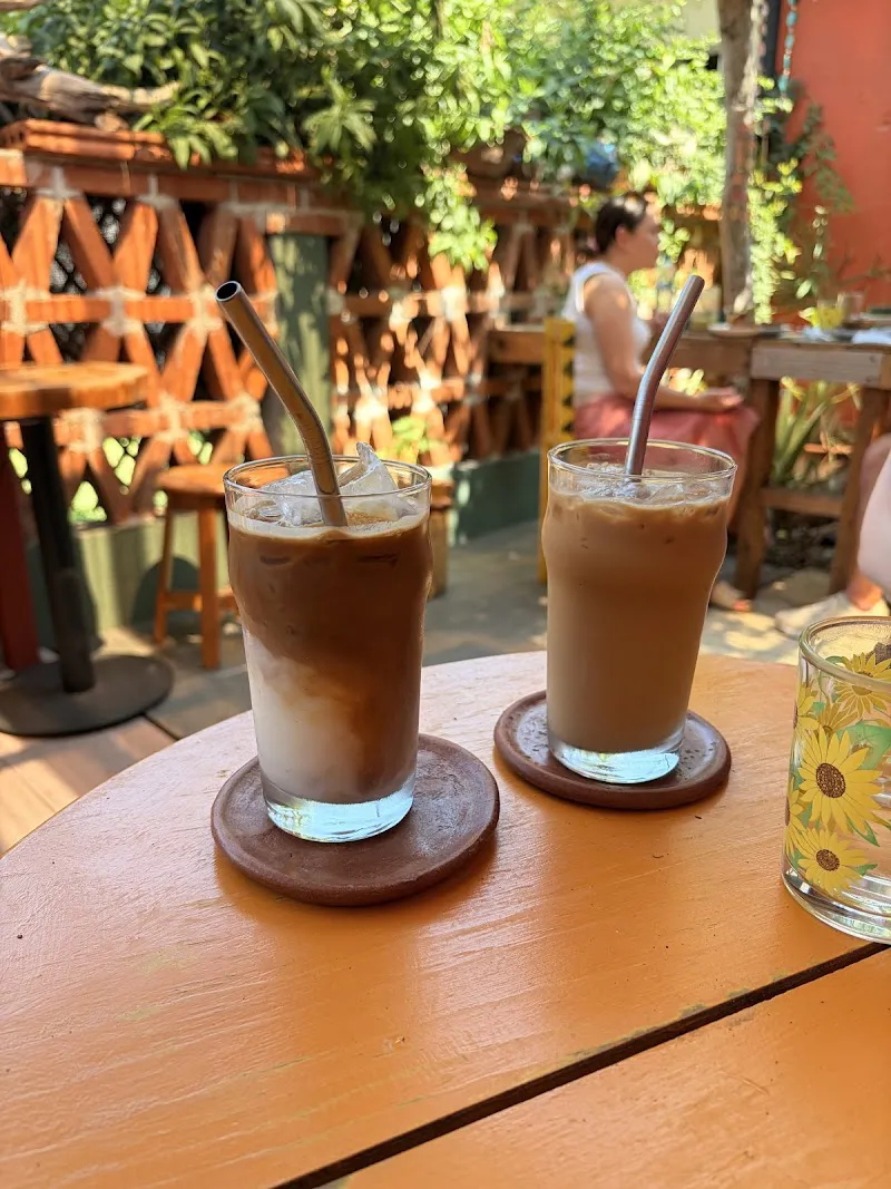 Alegría Specialty Coffee Shop Antigua Guatemala photo 4