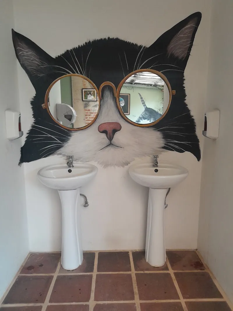 Antigua Cat Cafe Antigua Guatemala photo 4