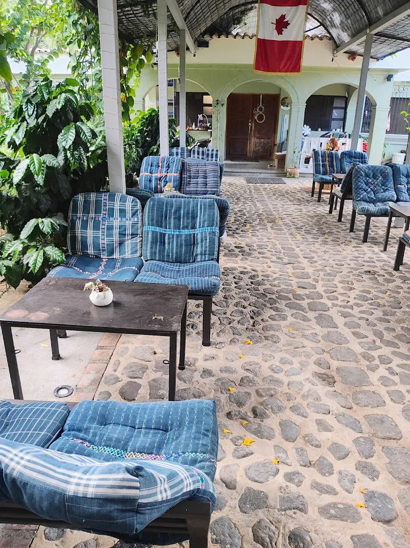 Antigua Cat Cafe Antigua Guatemala