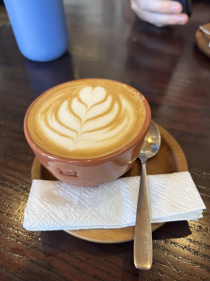 Fat Cat Coffee House Antigua Guatemala photo 4