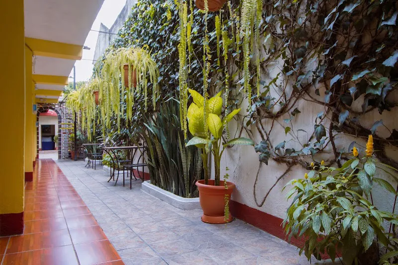 Hostal Antigua Antigua Guatemala