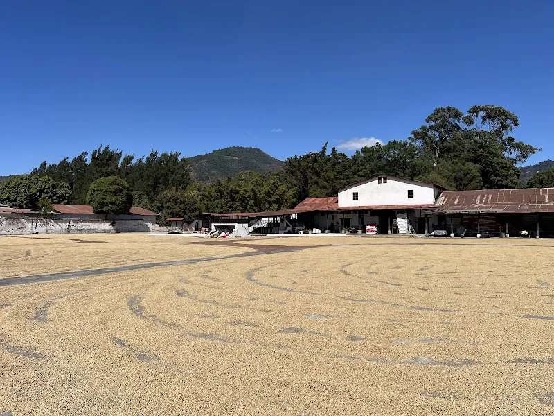 La Azotea Coffee Farm & Museum Antigua Guatemala photo 3