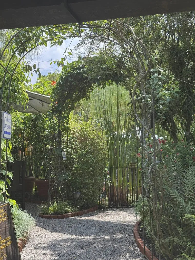 La Escalonia Coffee and Nursery Antigua Guatemala photo 3