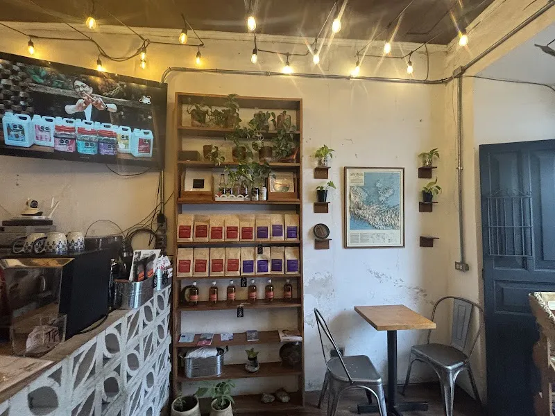 La Rosona Coffee Shop Antigua Guatemala photo 3
