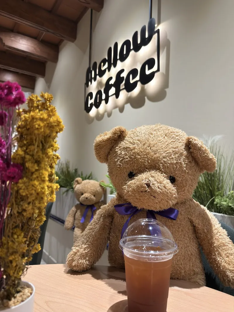 Mellow Coffee Antigua Guatemala photo 3